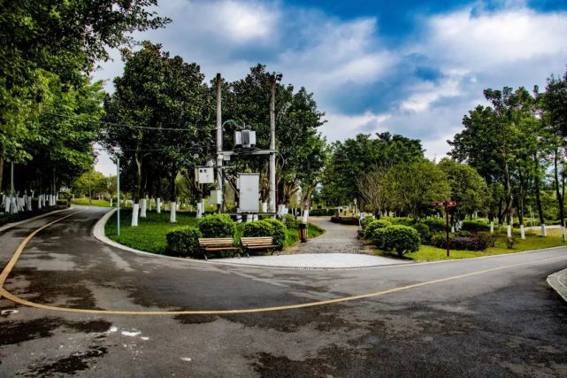 生态宜居达州西外主城这些大型公园你打卡过几个