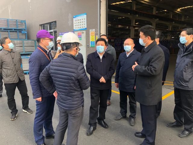 市人大常委会视察全市工业重大项目建设情况|市人大常委会|肖进方