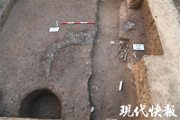 南京薛城遗址发掘24年后江南第一龙出现