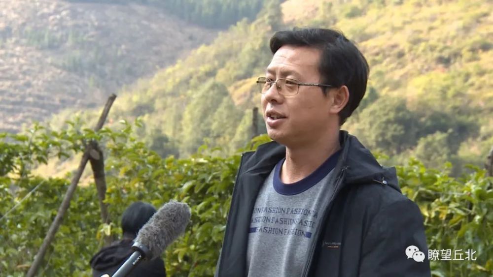 丘北平坦村百香果高密度种植初见成效