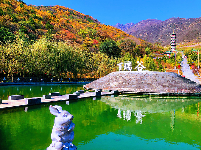 煤山矿山变绿水青山！房山区已修复废弃矿山超1000公顷我的学校在哪里用英语怎么说