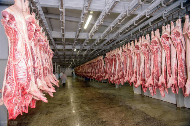 打击非法无证猪肉屠宰经营福建石狮警方开出一张600多万罚单