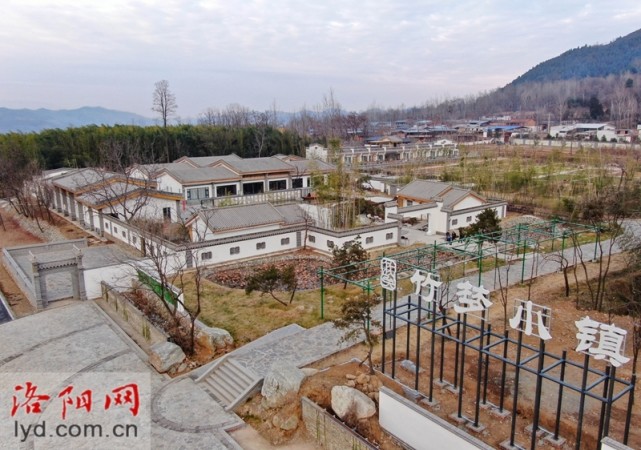 洛宁县兴华镇:盘活竹林资源 助推乡村振兴