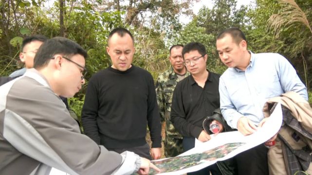 12月16日,县委副书记,县人民政府县长王炳卜到县林