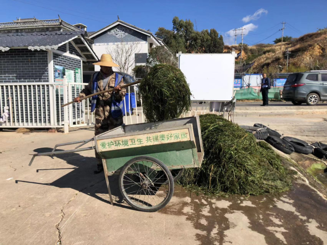 海东镇共有49名像杨维昌一样的洱海滩地管理员,因为常年在洱海边风吹