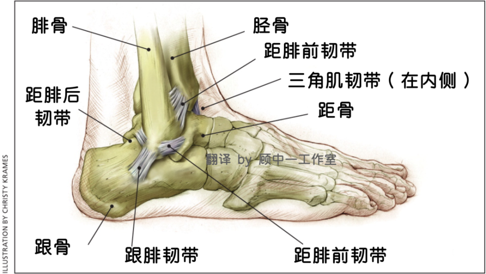 我的同事脚崴了立刻开始教科书式自救