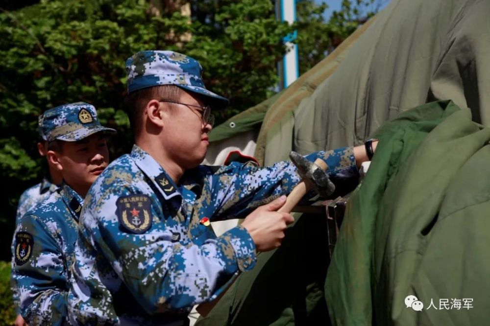 重温《和平之舟》，海苔哥又想起了水兵身边的他们上海绘本树英语