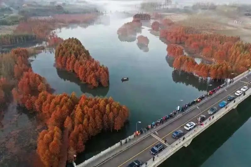 为民办实事项目展风采丨这项实践题天泉湖镇用心用情用力答好