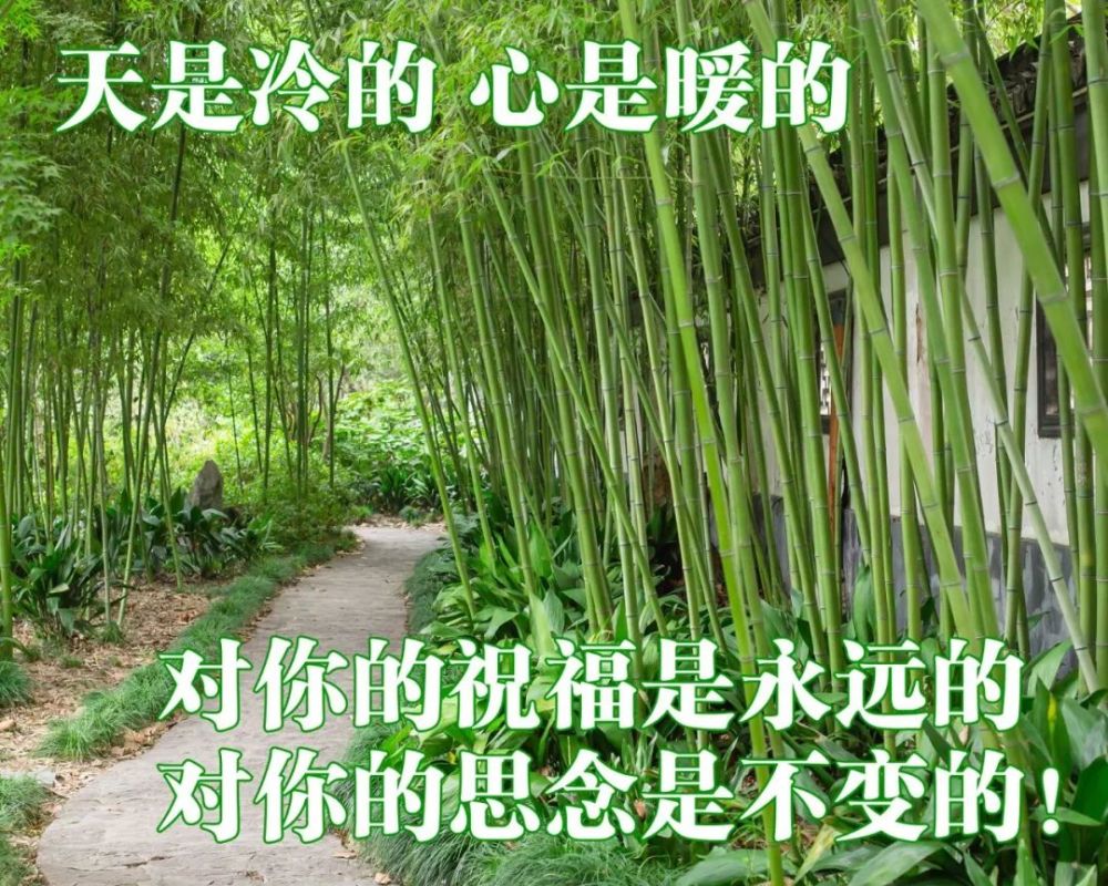 һΨʫ_ʫΨһͼƬ_ʫΨһľ