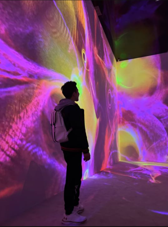 展览艺术英文_展览艺术设计_艺术展览