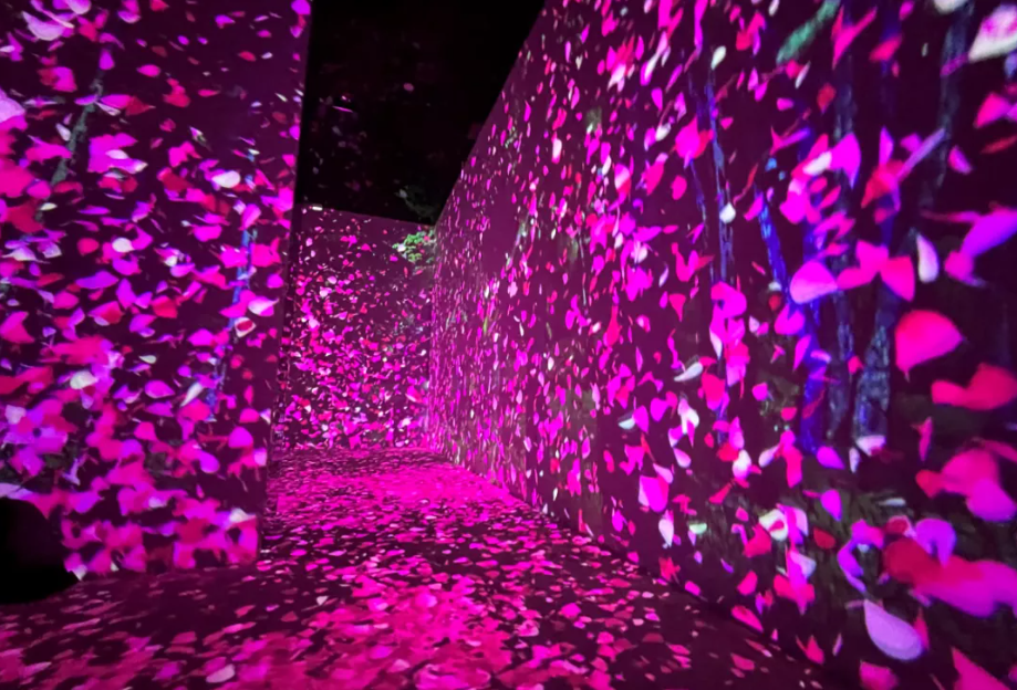 展览艺术英文_艺术展览_展览艺术设计
