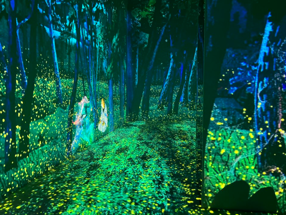 展览艺术英文_展览艺术设计_艺术展览