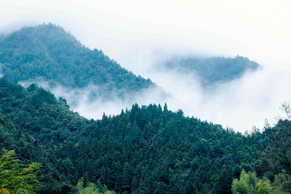 江浙沪周末游好去处云海梯田竹林瀑布山里人家灵秀气超美