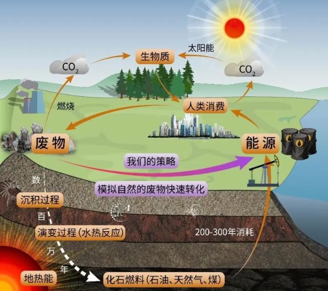 启迪的co2水热还原产长链烷烃|金属|金放鸣|上海交通大学|二氧化碳