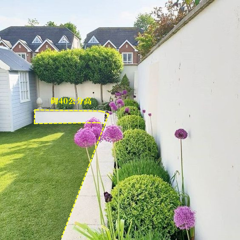 沿着院子围墙砌一圈花圃40公分高低成本容易打理养养花足矣