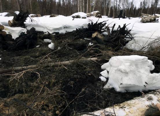 北极出现僵尸火在零下75摄氏度里燃烧不止什么原因