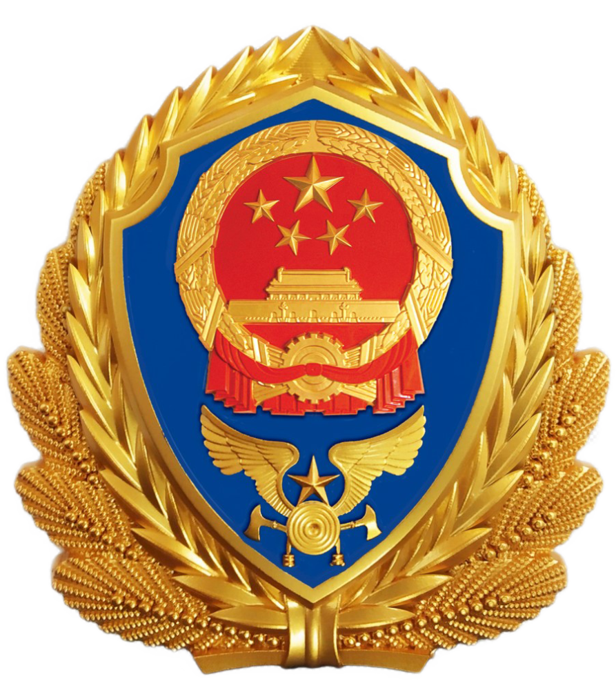 海南省消防救援总队我志愿加入国家消防救援队伍对党忠诚纪律严明赴汤