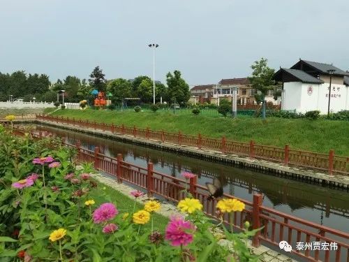 江苏泰州胡庄镇践行绿色发展厚植生态优势