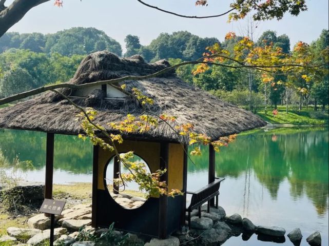 之地,公園周邊還有杜甫草堂,四川省博物館,這裡真的是一個有文化又有