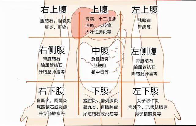 胃痛需要做胃镜吗这8种情况建议做