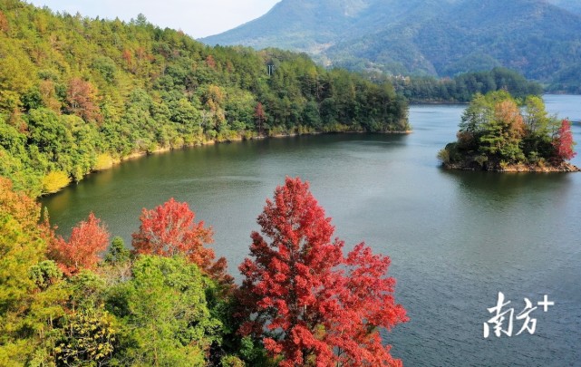 图集梅州蕉岭赏长潭红枫看层林尽染