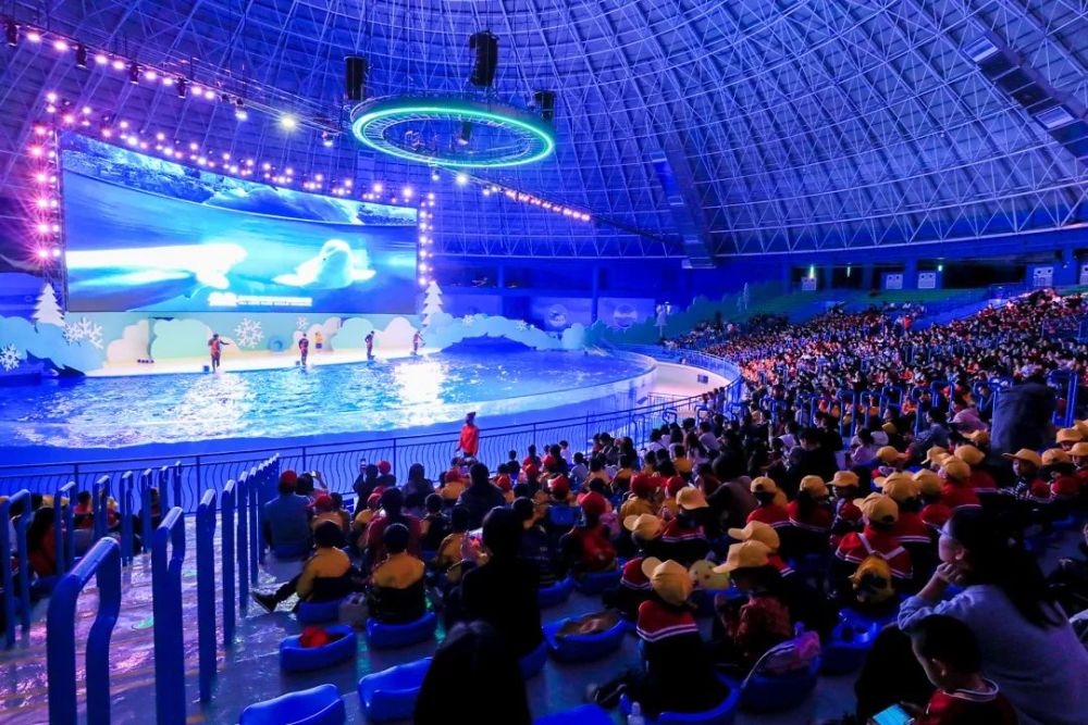 走进泉州欧乐堡海洋王国乐园探秘海底世界学习海洋知识