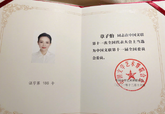 42岁章子怡低调出席文代会!露半边素颜状态好,现场被海霞索要签名