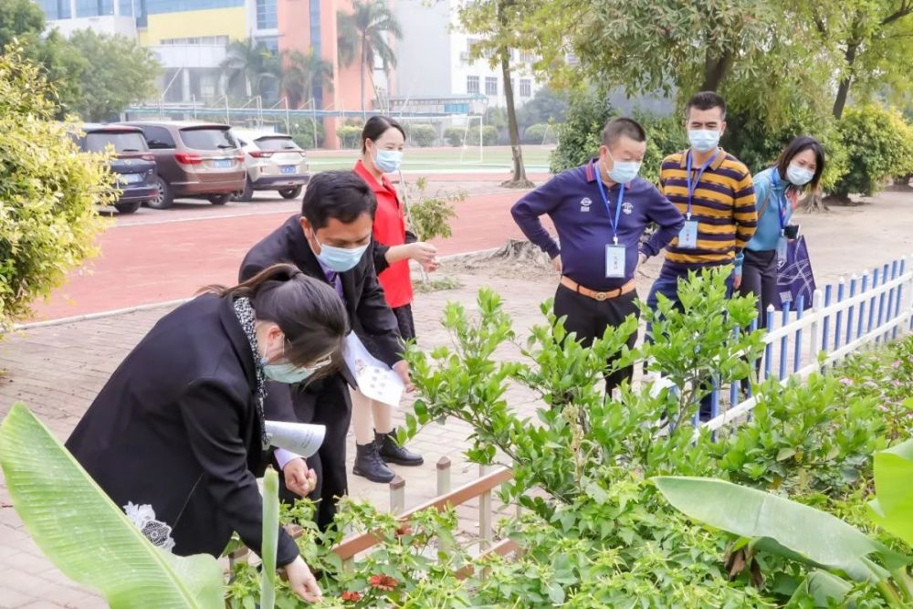 将课堂搬进田园中乐从罗沙小学劳动教育获全省围观