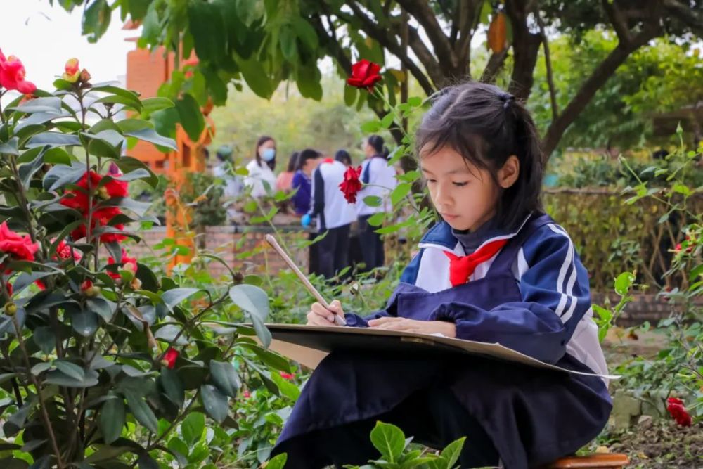 将课堂搬进田园中乐从罗沙小学劳动教育获全省围观