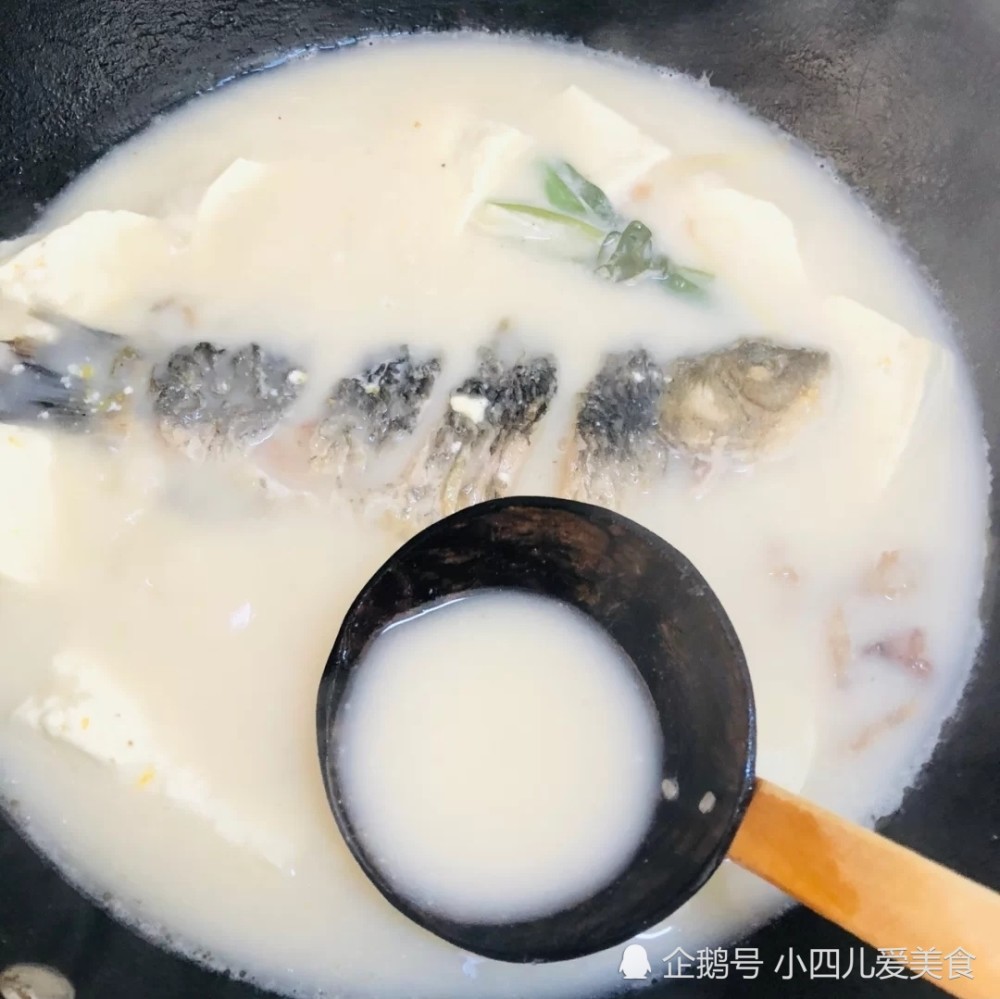 鯽魚豆腐湯做法教程湯白如牛奶沒有任何腥味味道鮮美營養好喝