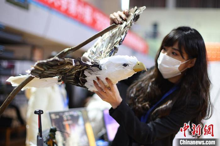 厦门航空值机创新治理成果南京监管数字成