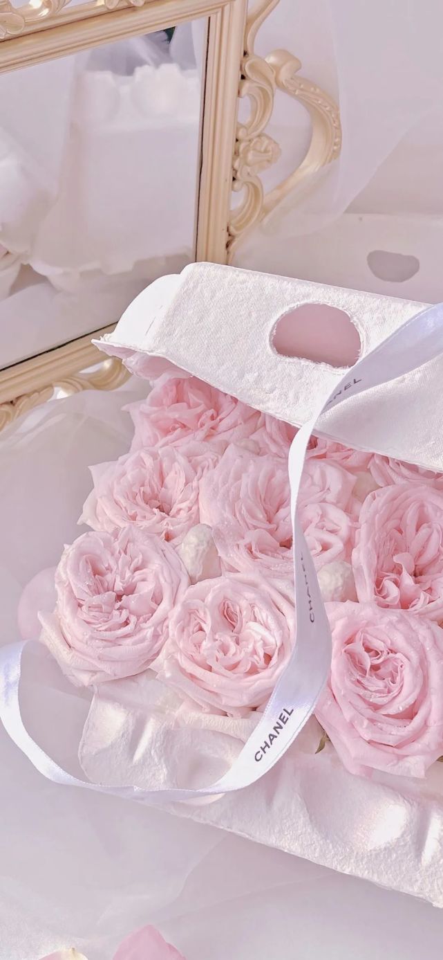 壁纸|粉色玫瑰花手机壁纸