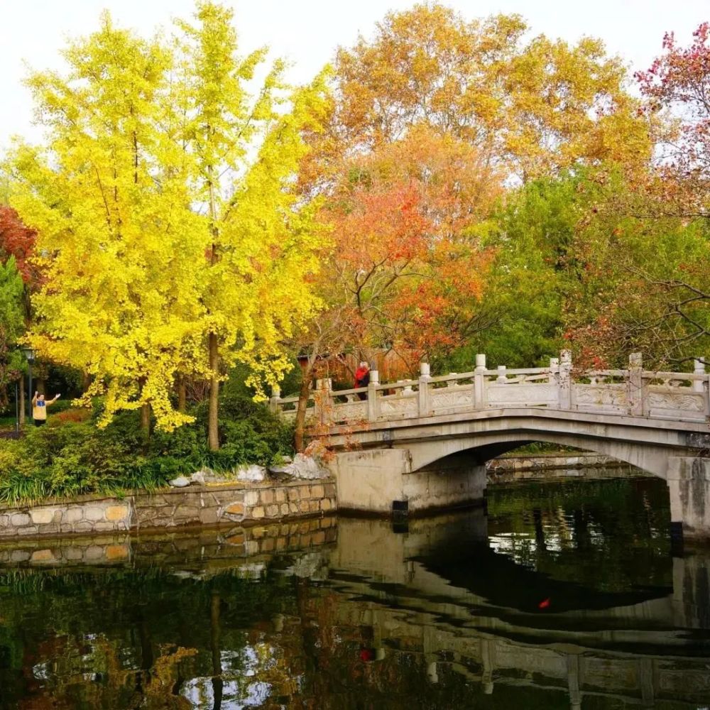 深呼吸～來看閘北公園絢麗美景_騰訊新聞