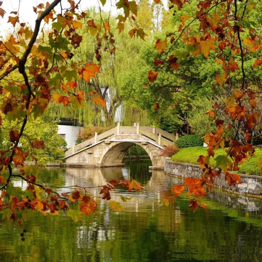 深呼吸～來看閘北公園絢麗美景_騰訊新聞