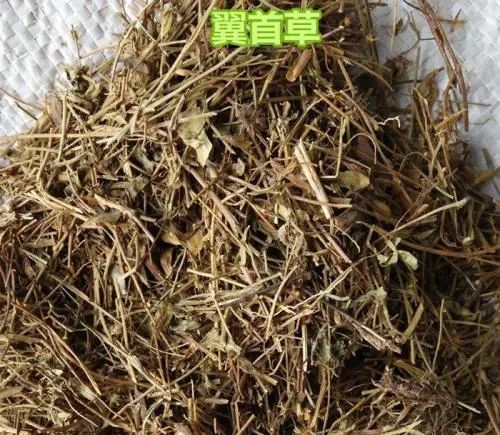 翼首草的功效与作用及禁忌
