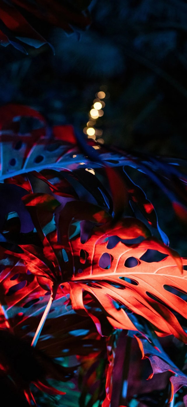 壁纸潮图 精选锁屏(3期)