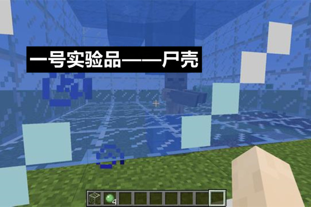 我的世界游泳测试大冒险尸壳究极进化小黑人直接不见了