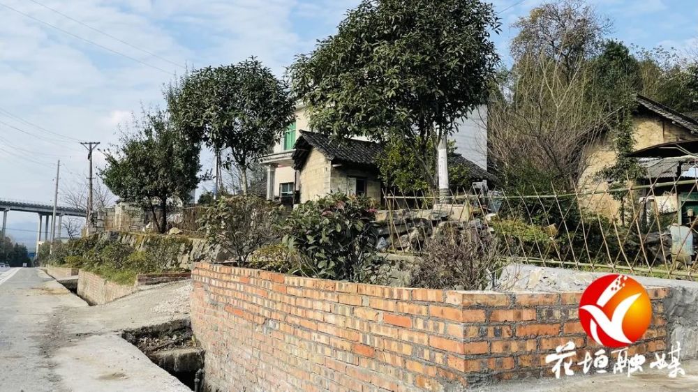 拆高墙透绿砌花台造景 麻栗场社区人居环境再提质 腾讯新闻