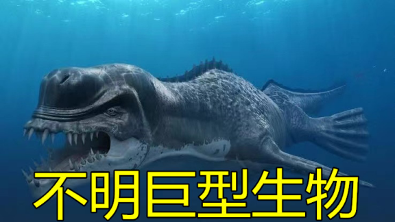 究竟海怪的真实身份是什么?_腾讯新闻