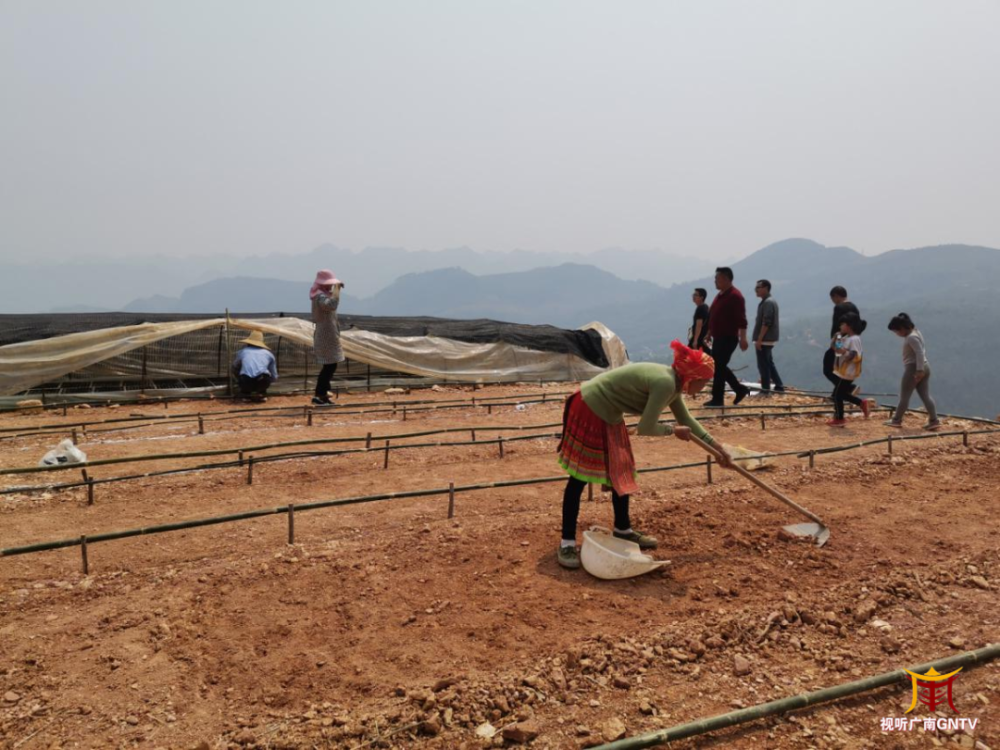 开展技能培训广南县篆角乡提升残疾人致富本领