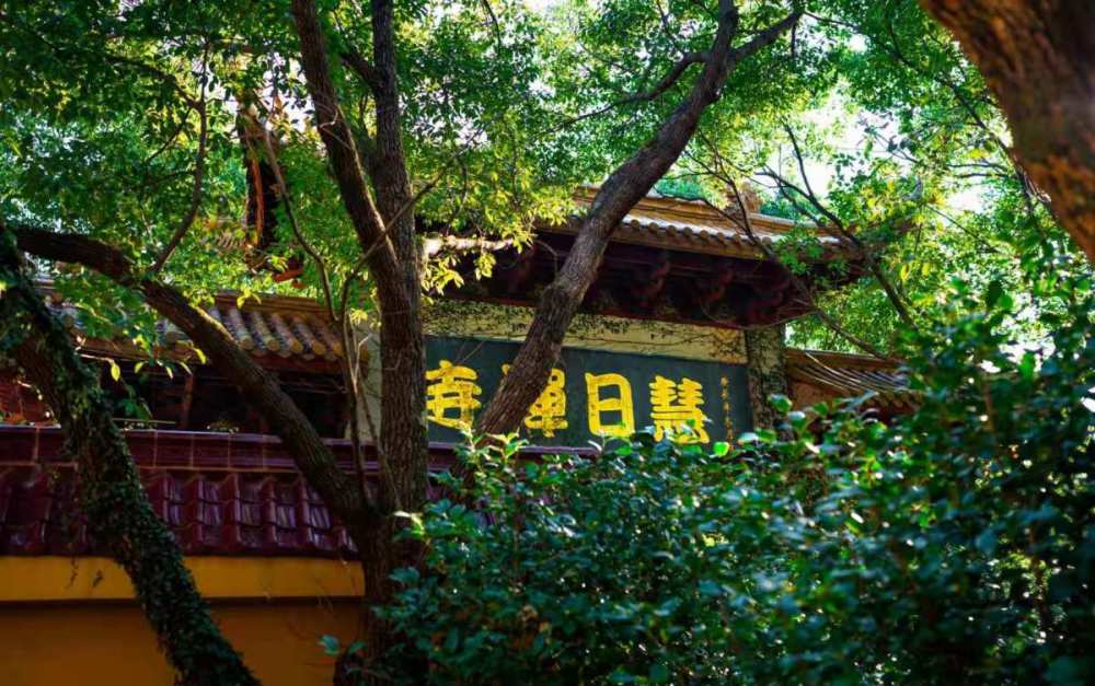 面朝大海背倚繁华瞻岐这个村美如画