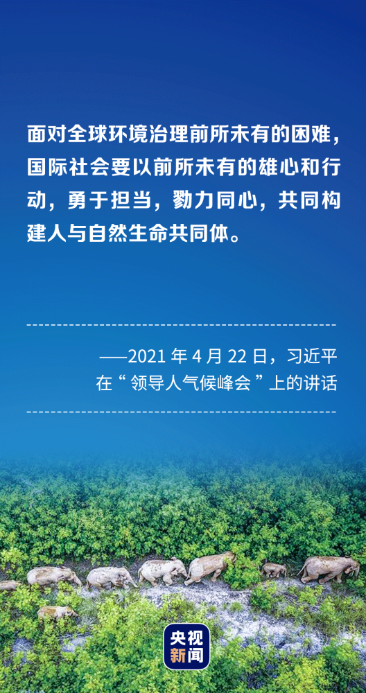 高中英语单词朗读资源丨集体和合确诊击中目标中俄巡航导弹