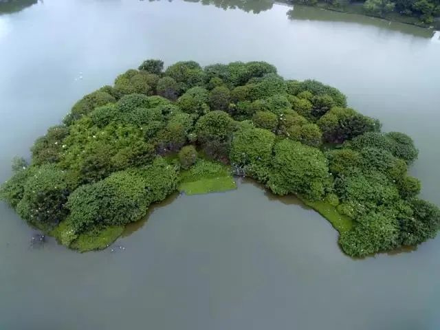 跟着2号线游禅城来绿岛湖站享受大自然和艺术的滋养