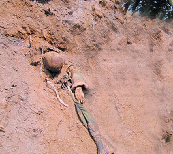 在平定后,有关官员上奏司马绍,称王敦作乱,罪恶滔天,应该将其开棺戮尸