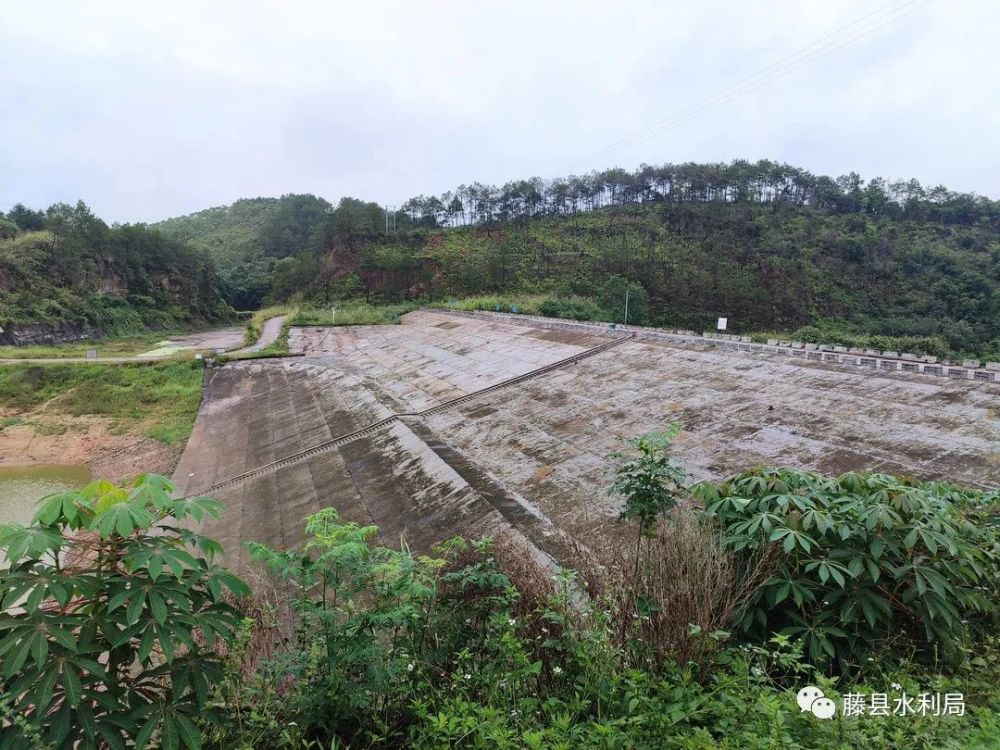 藤县白石水库除险加固工程顺利通过竣工验收