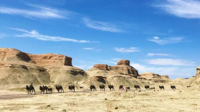 「西北旅游攻略必去景点」西北旅游攻略必去景点大全图片✅