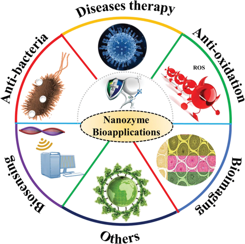 清华梁琼麟南昌大学辛洪波广工梁晓萍afm纳米酶最新综述从科研到应用