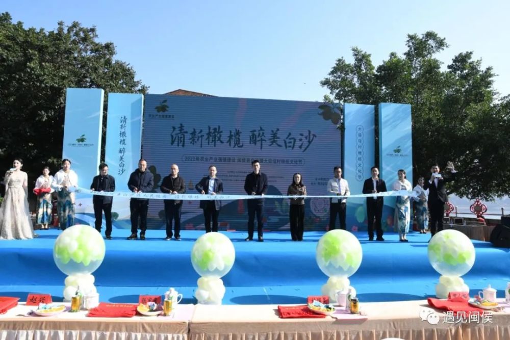 今日清新橄榄醉美白沙橄榄文化节开幕