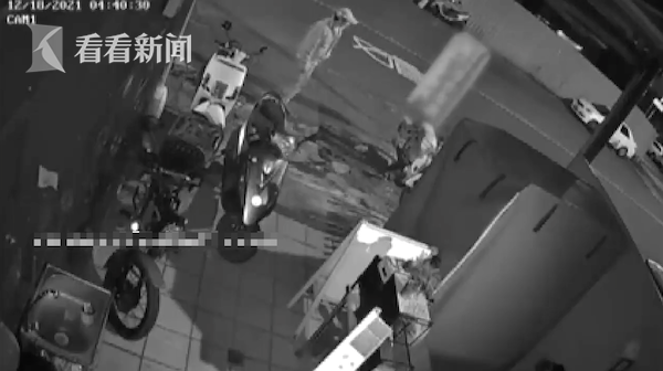 凌晨动保人员抓狗 女业主怕是偷狗贼直冲下楼 腾讯网