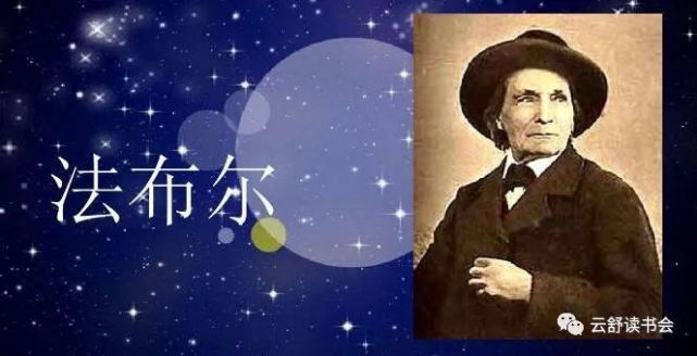 昆虫记》读书笔记|昆虫记|昆虫|让·亨利·卡西米尔·法布尔|读书笔记